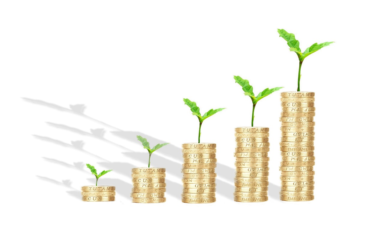 Saplings on top of stacks of coins